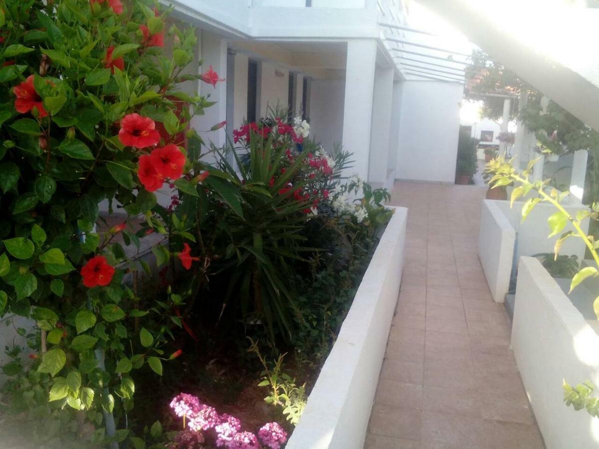 Villas Irene 5 Family Apartments Kokkini Hani Exteriér fotografie